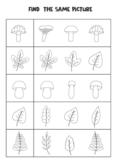 Найдите такую же картинку с черными и белыми листьями и грибами. образовательный лист для детей.