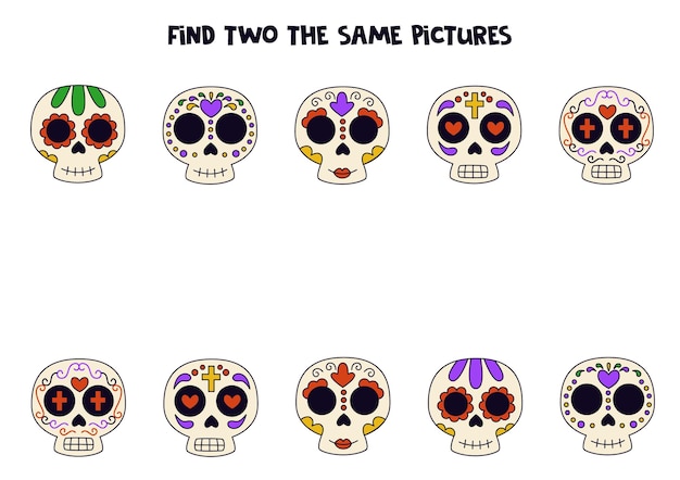 미취학 아동을 위한 두 개의 귀여운 동일한 Dia De Los Muertos 두개골 찾기