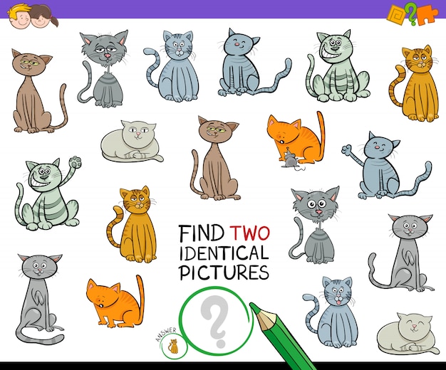 Find two identical cat pictures game for kids