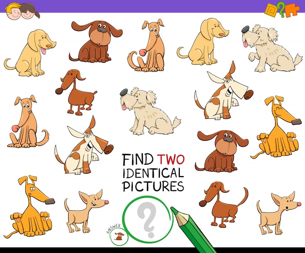 Find two identical dogs educational game