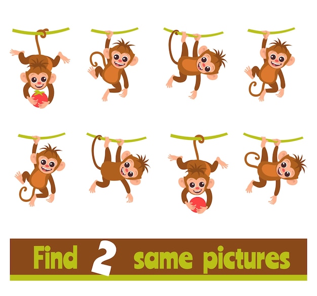 Find two identical pictures Educational game for children Same monkeys searching Worksheet design Similar animals Preschool kids puzzle Riddle with funny marmosets Vector concept