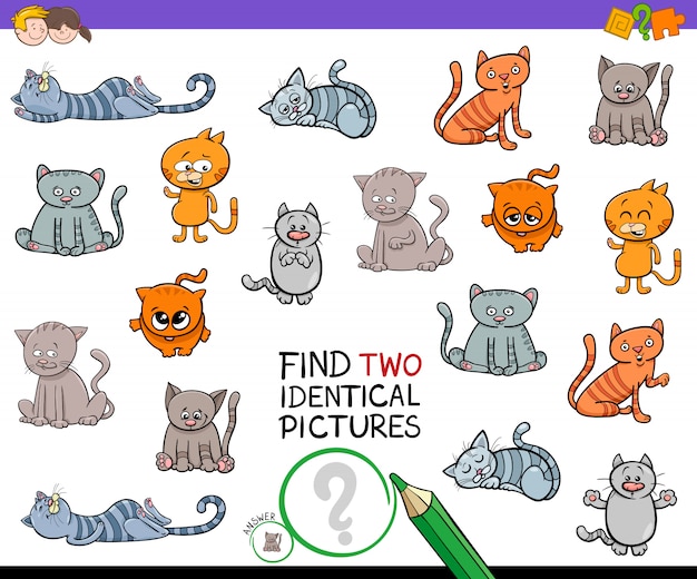 Find Two Identical Pictures Educational Game