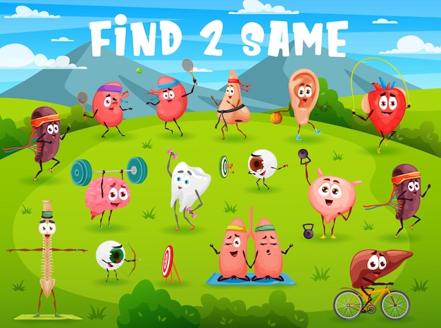 Vector find two same cartoon funny human organs