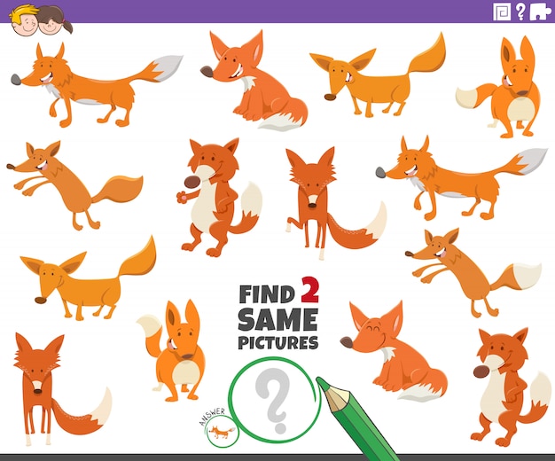 Find two same foxes educational game for children