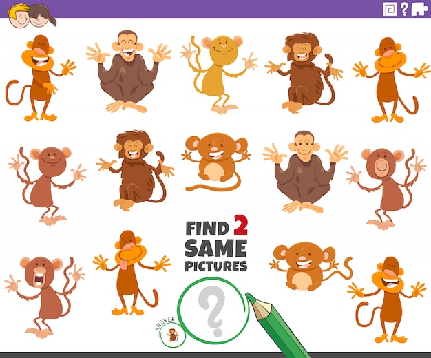 Find two same monkeys educational game for children