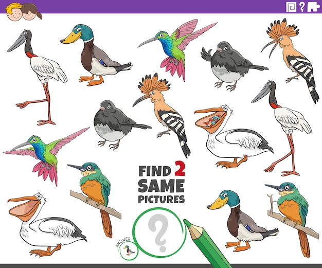 Trova due stessi giochi di immagini con personaggi animali di uccelli comici