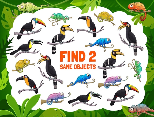 Find two same toucans and chameleons kids game