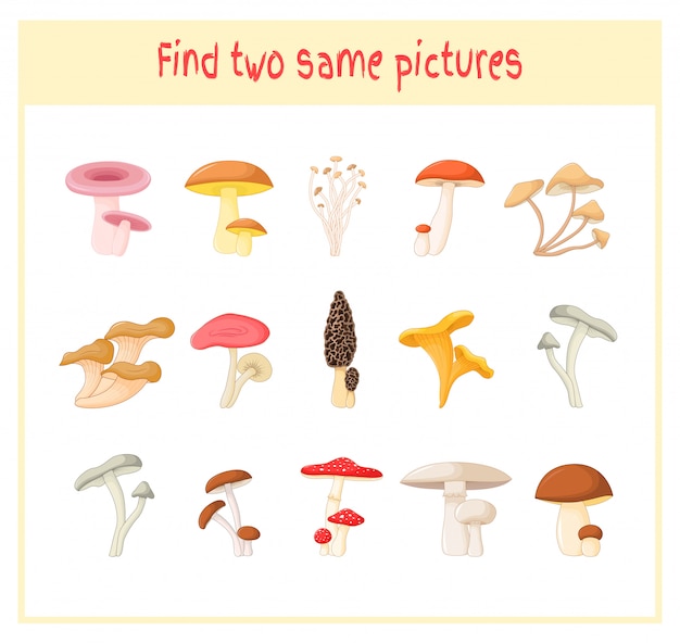 Finding two exactly the same pictures mushrooms