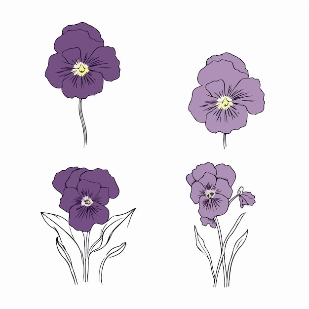 finedrawn pansy illustration with an artistic touch