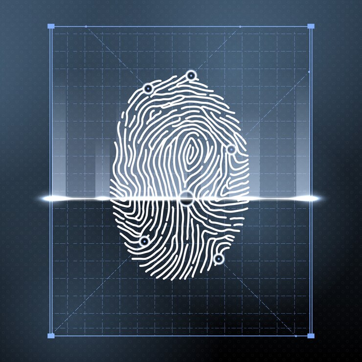 Vector fingerprint biometric scan for personal verification. 