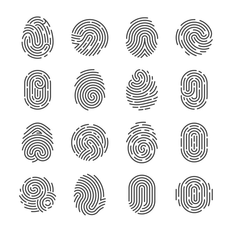 Vector fingerprint detailed icons. police scanner thumb vector symbols. identity person security id pictograms. finger identity, technology biometric