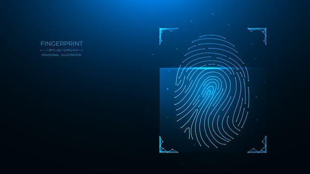 Vector fingerprint identification concept biometric data low poly design