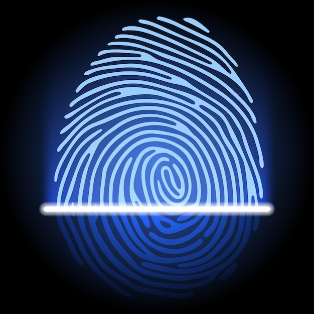 Vector fingerprint identification system