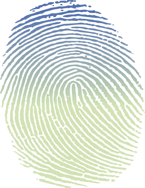 Vettore impronte digitali impronte biometriche disegni di stampa a inchiostro impronta digitale impronta a colori immagine