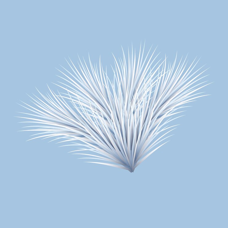 Vector fir tree branch isolated on blue background christmas tree branch for design