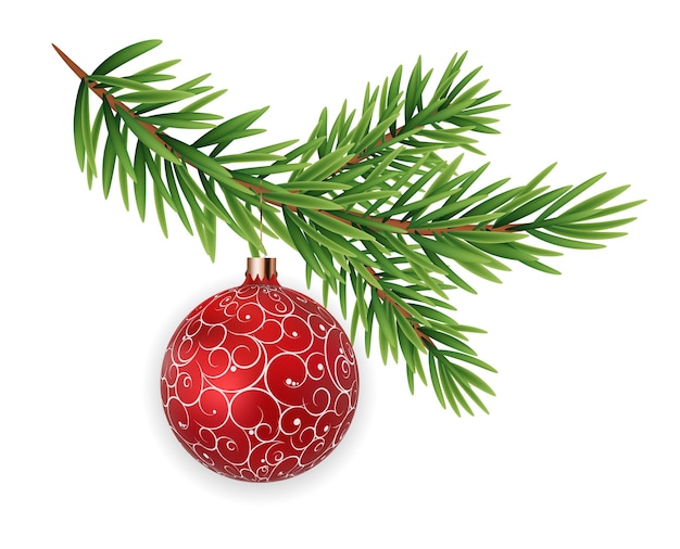 Fir tree branch with ball