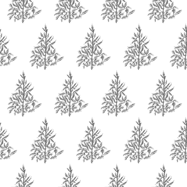 fir tree seamless pattern isolated on white background