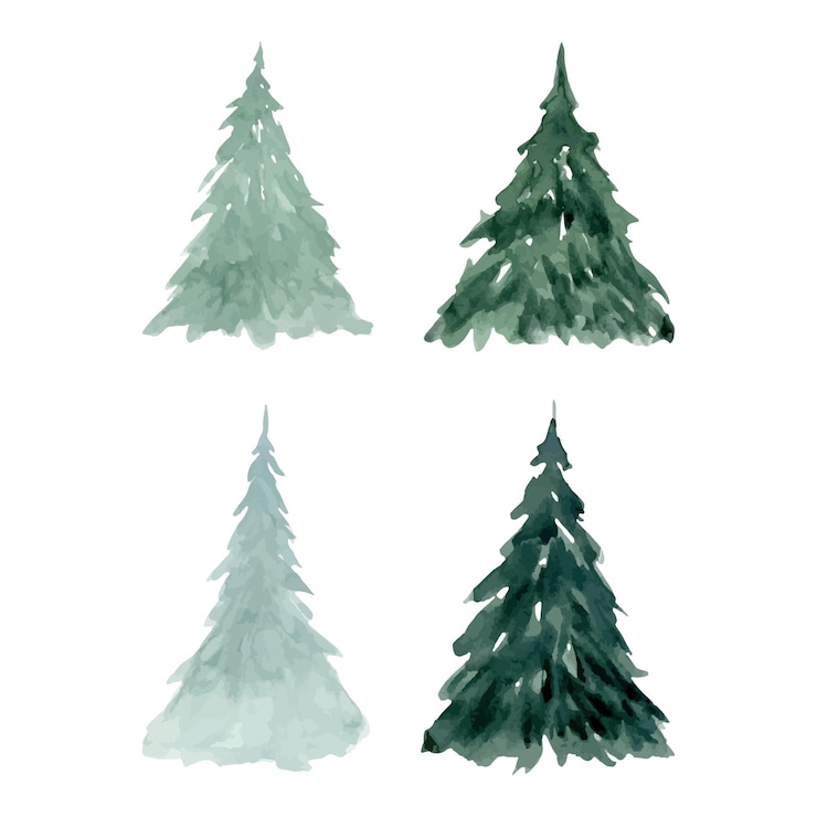 Vector fir trees sketches and silhouettes in simple style watercolor illustration set for christmas