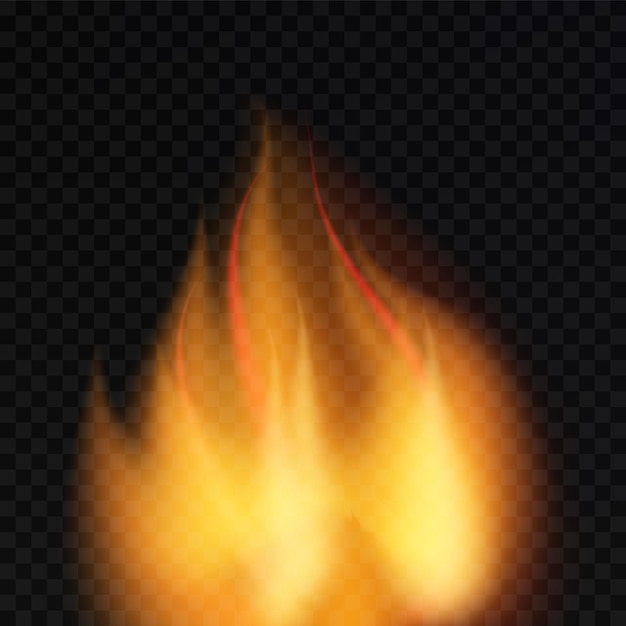 Vector fire burn flame on transparnt background burning