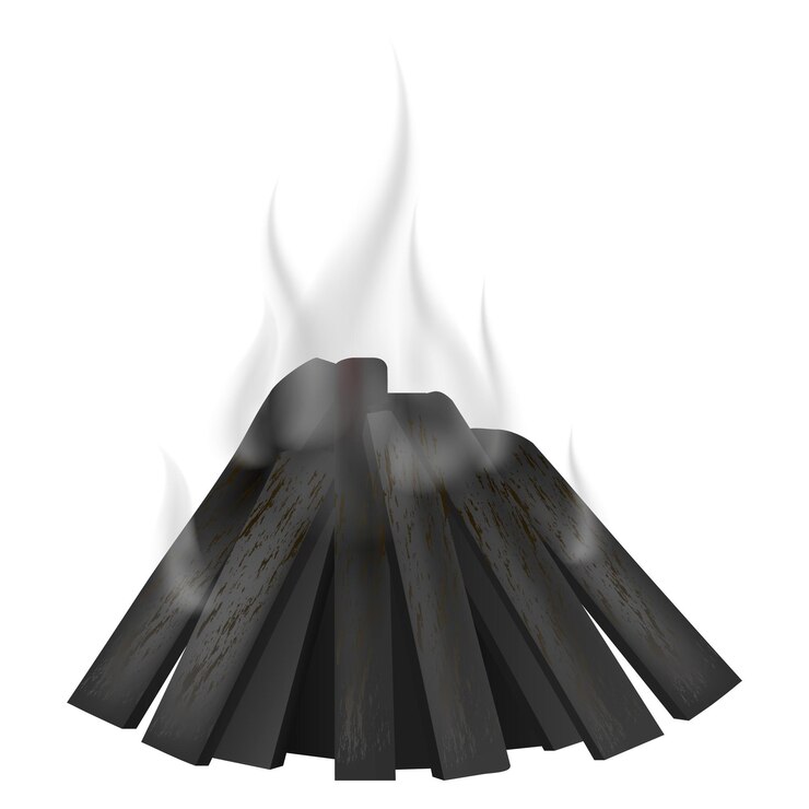 वेक्टर fire burnt icon realistic illustration of fire burnt vector icon for web design