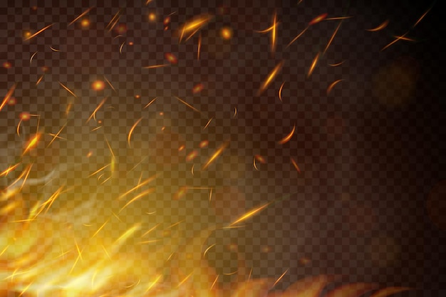 Fire. fire sparks flying up on transparent background. smoke and glowing particles on black. realistic lighting sparks with bokeh effect for design. vector illustration.