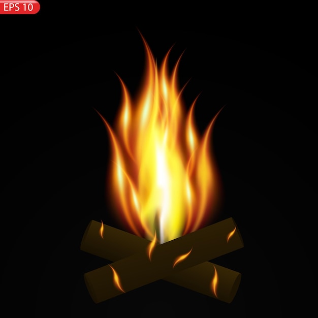 Fire flames isolated on transparent background vector realistic special effect