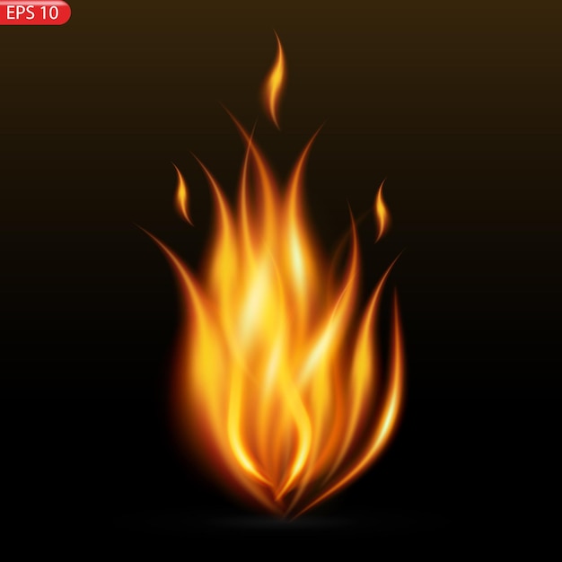 Fire flames isolated on transparent background