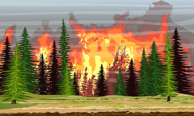 Incendio nella foresta di abeti alberi in fiamme wildfire catastrophe realistic vector landscape