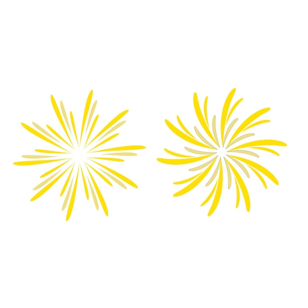 Firework in the sky vector