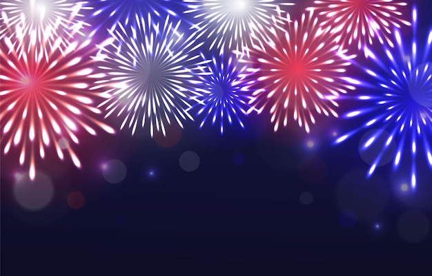 Vector fireworks in the night background