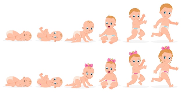 Vector first year baby timeline. baby boy and girl first year development from newborn to toddler vector illustration. cute baby month stages development. toddler development, child early timeline