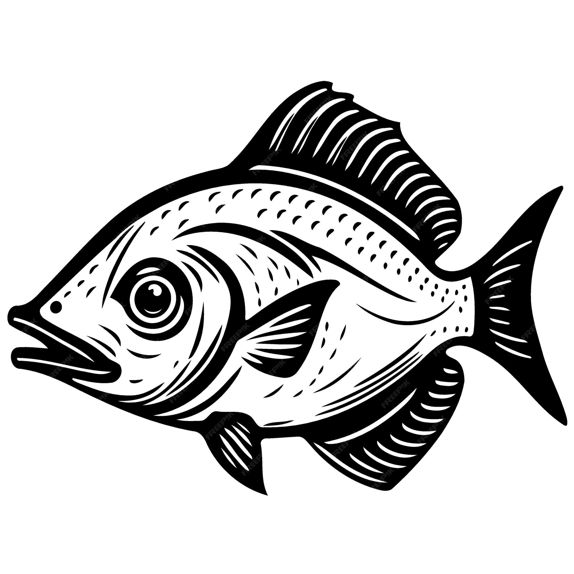 Premium Vector | Fish aquatic animal