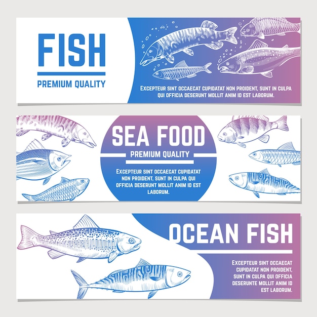 Vector fish banners