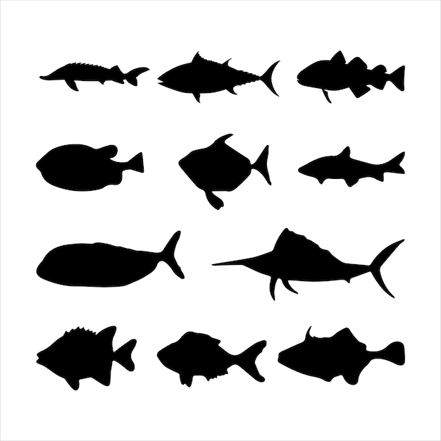 Vector fish black and white silhouettes set of marine animals