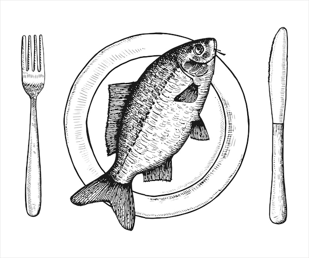 Fish carp on a plate vector vintage illustration