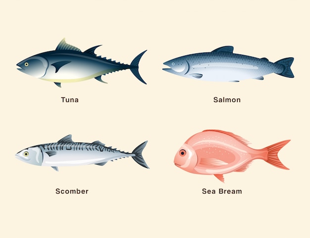 魚のコレクション