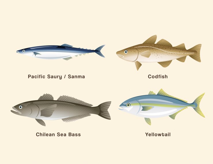 Vector fish collection