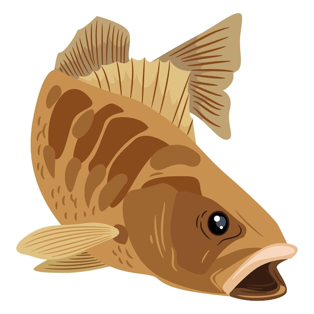 Fish colorful vector