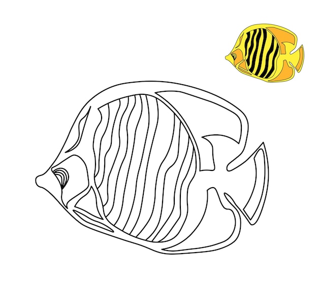 Vector fish coloring book children's coloring is simple black white figure ocean and sea marine life