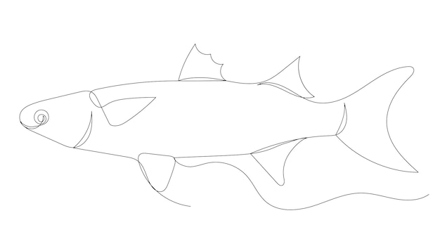 Fish drawing by continuous line isolated, vector