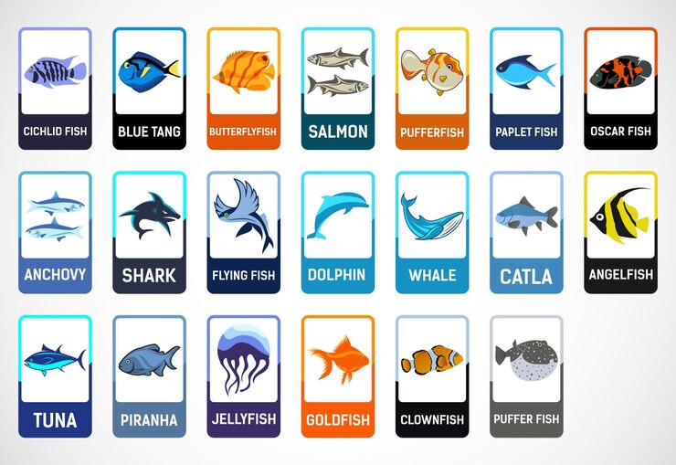 Vector fish flashcards for kids educational cards for preschool printable vector illustration