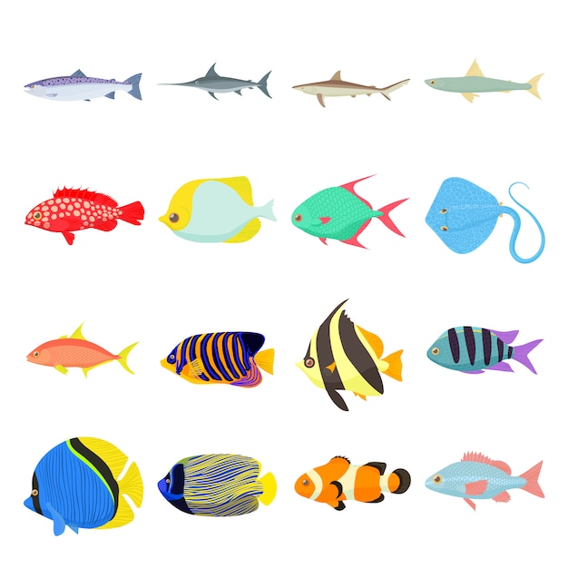 Vector fish icons set in cartoon style isolated vector