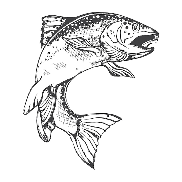 Fish Drawing Stock Photos and Images - 123RF