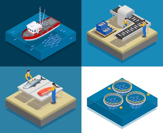 벡터 정사각형 구성의 생선 산업 해산물 생산 아이소 메트릭 디자인 컨셉 및 낚시 필렛