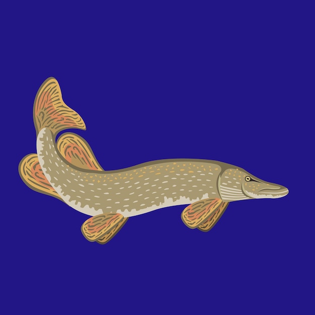 Vettore illustrazione del design vettoriale del logo della mascotte del pesce