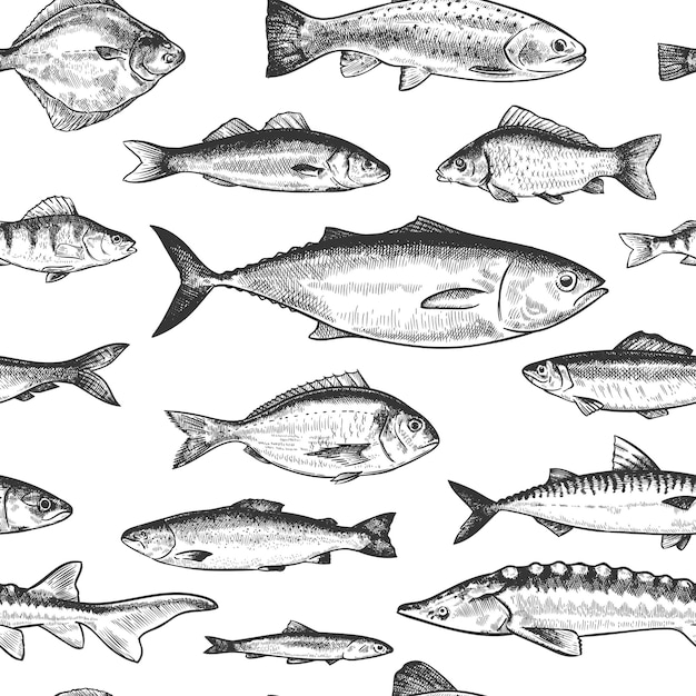 魚のシームレスパターン。手描きのさまざまな海と川の魚、海洋水中生物モノクロプリント壁紙スケッチベクトルテクスチャ。スズキとカタクチイワシ、ニシンとサバ、シーバス
