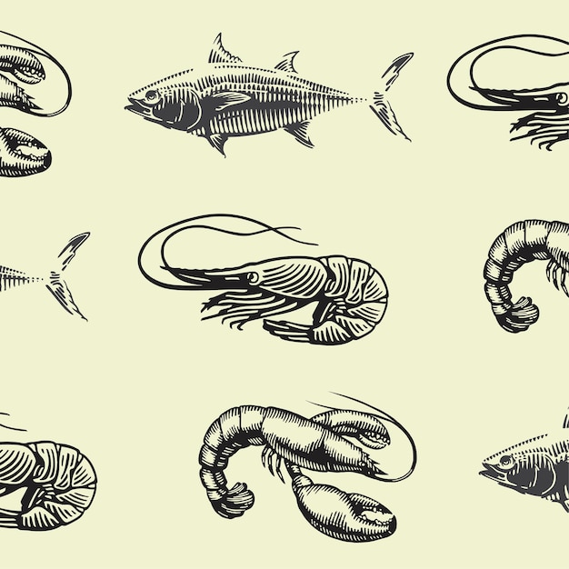 fish and shrimp illustration in set