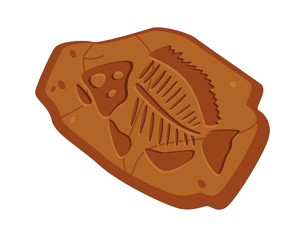 Vector fish silhouette on fossil