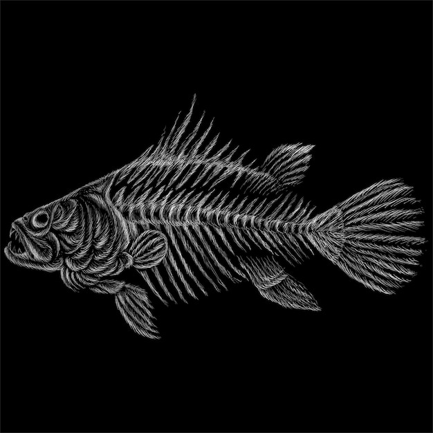 Vettore scheletro di pesce per tatuaggio o design t-shirt o capispalla. scheletro di pesce stile carino.