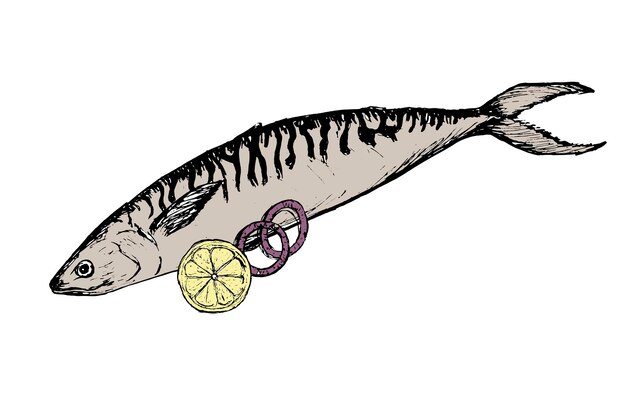 레몬과 양파와 함께 대서양 마크의 물고기 스케치 색 바탕에 고립 된 맛있는 해양 물고기 음식의 그림 물고기 레스토랑 메뉴 디자인